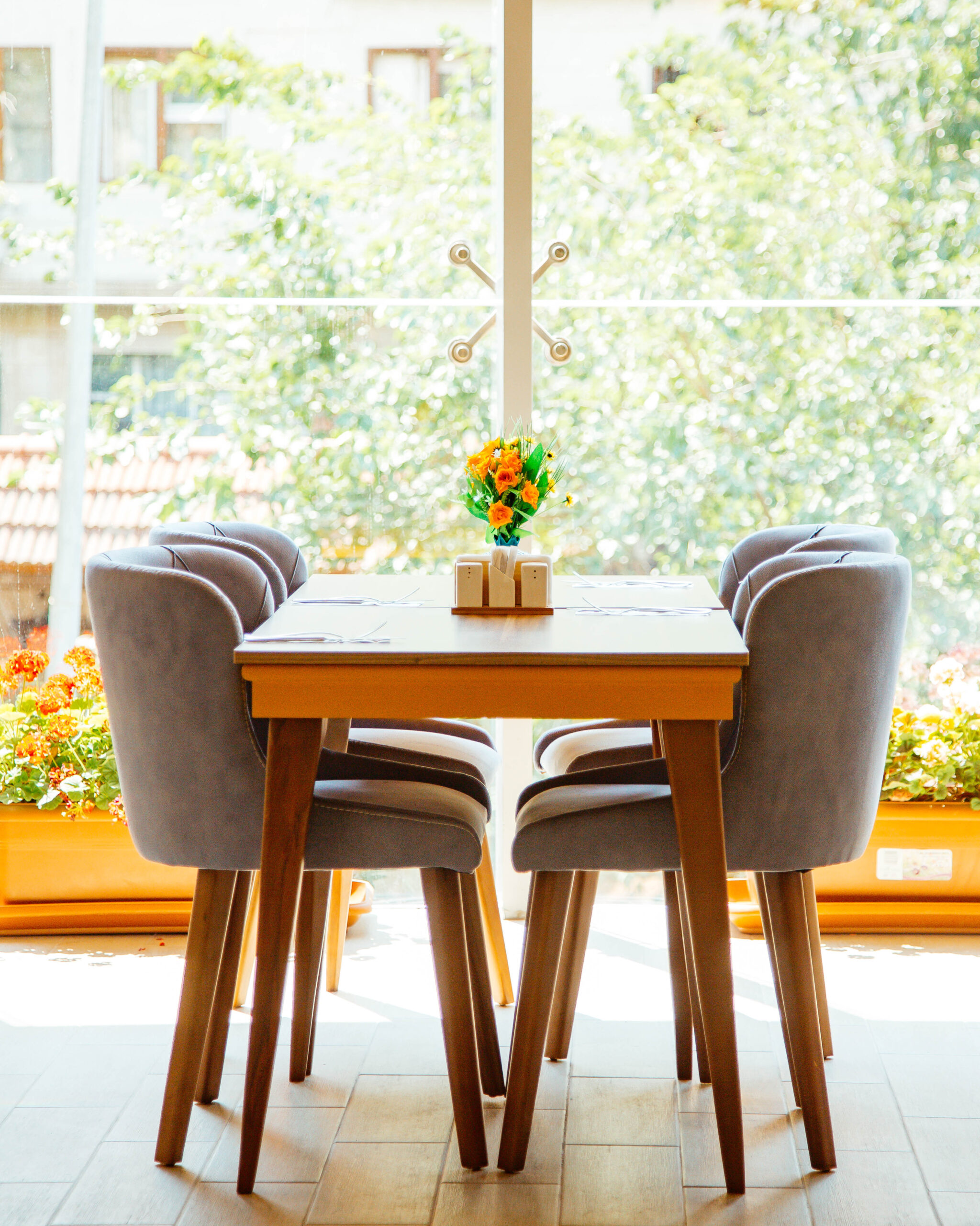 Dining Table and Chair Cleaning