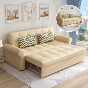 Sofa cum bed cleaning